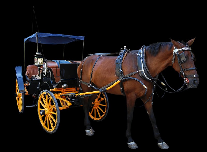 Vintage Carriages