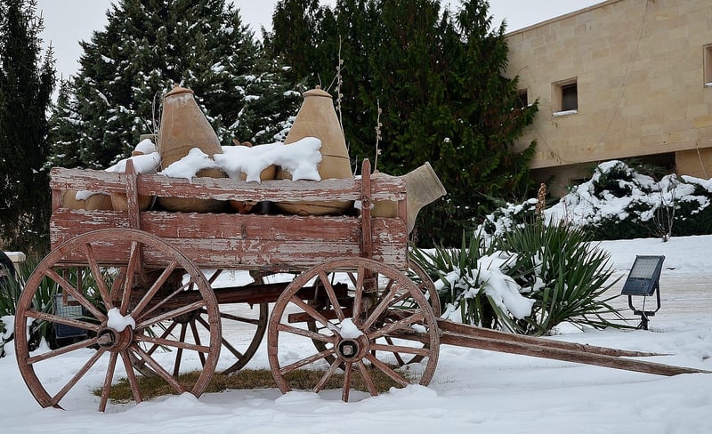 Vintage Carriage Ride